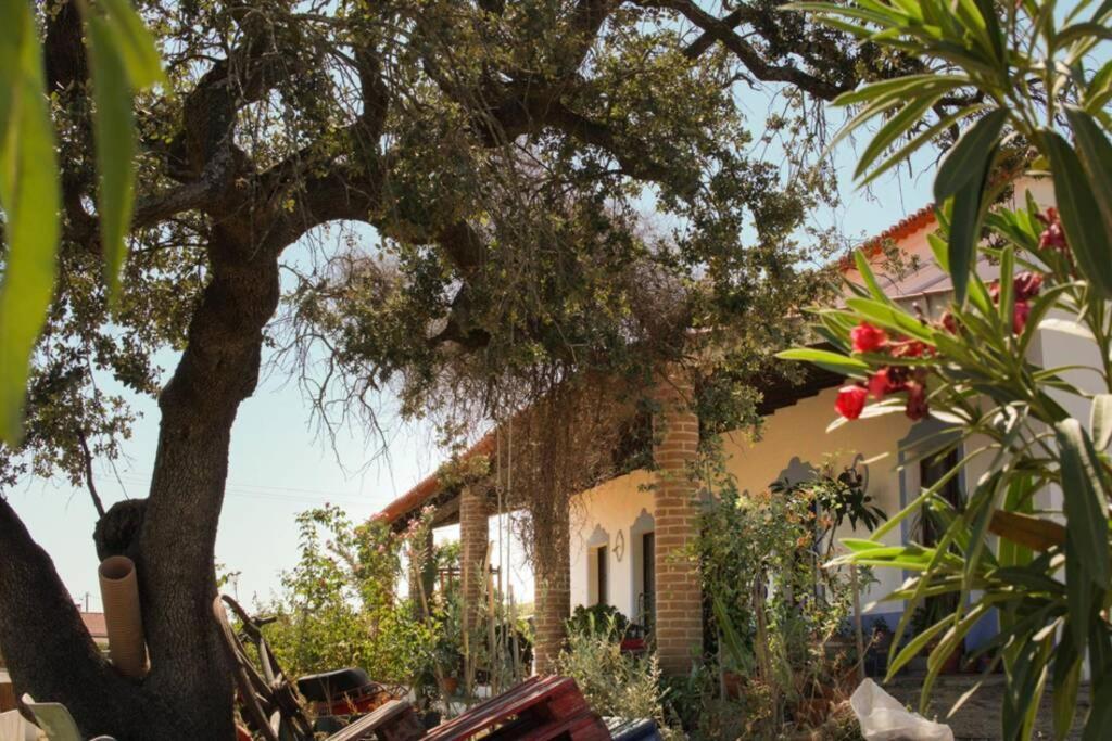 Aproveite O Sabor Do Alentejo Villa Vila Verde de Ficalho Dış mekan fotoğraf