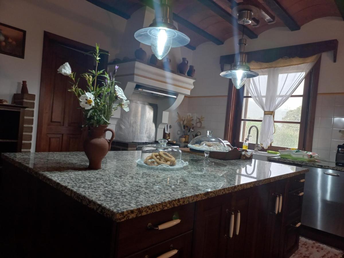 Aproveite O Sabor Do Alentejo Villa Vila Verde de Ficalho Dış mekan fotoğraf