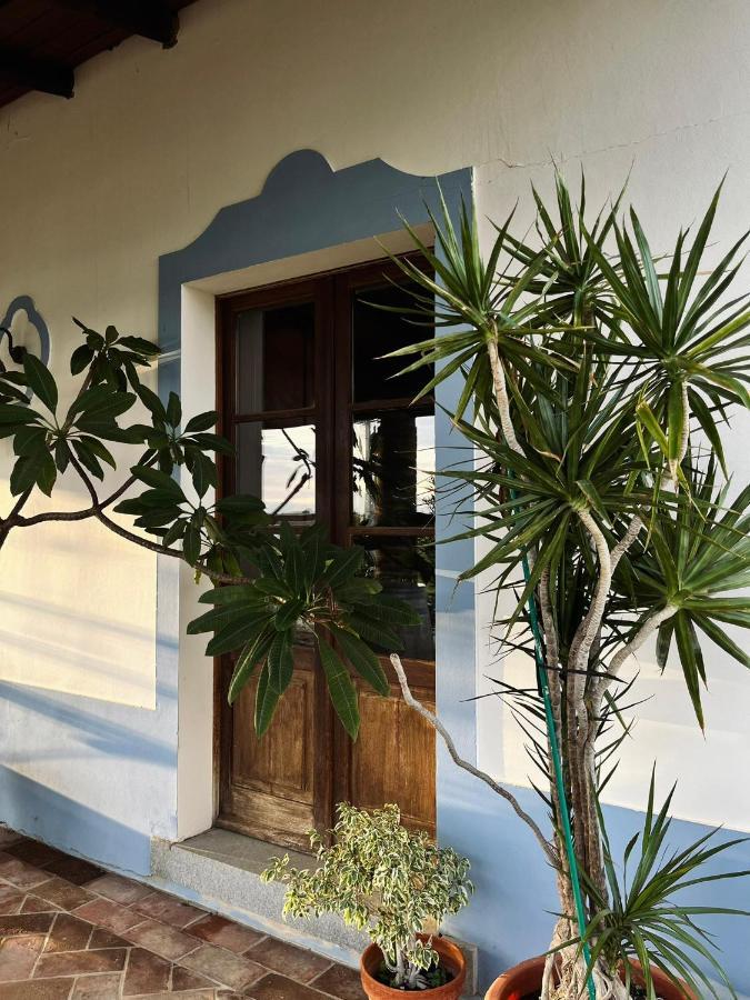 Aproveite O Sabor Do Alentejo Villa Vila Verde de Ficalho Dış mekan fotoğraf